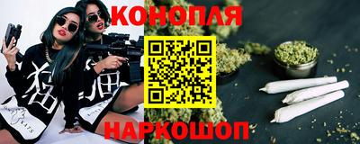 spice Новозыбков