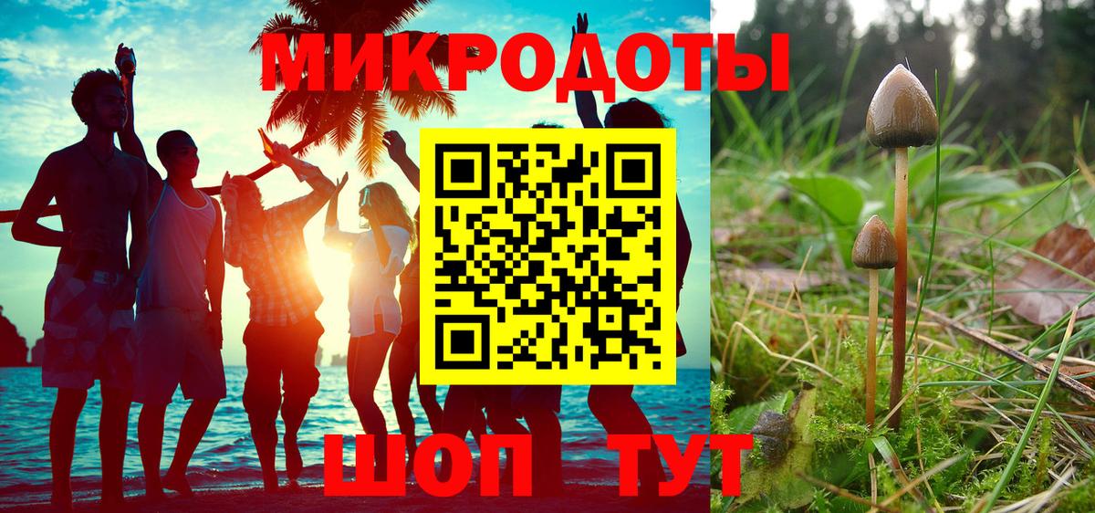 Алатырь  где купить наркоту  Вход с VPN  Псилоцибиновые грибы ЛСД  Псилоцибиновые грибы Psilocybine cubensis 
